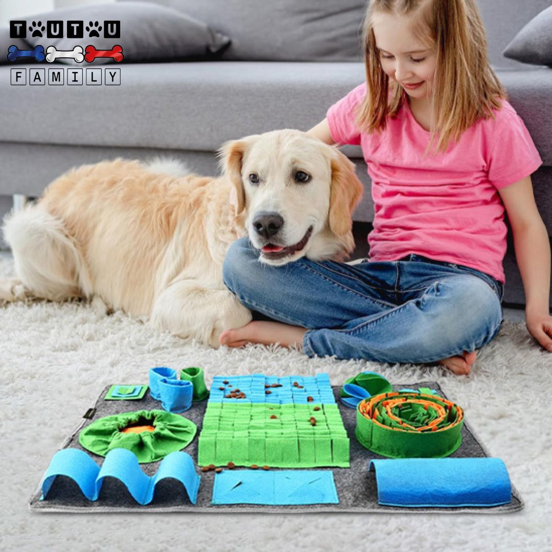 Tapis de fouille chien - ChasseToutou™