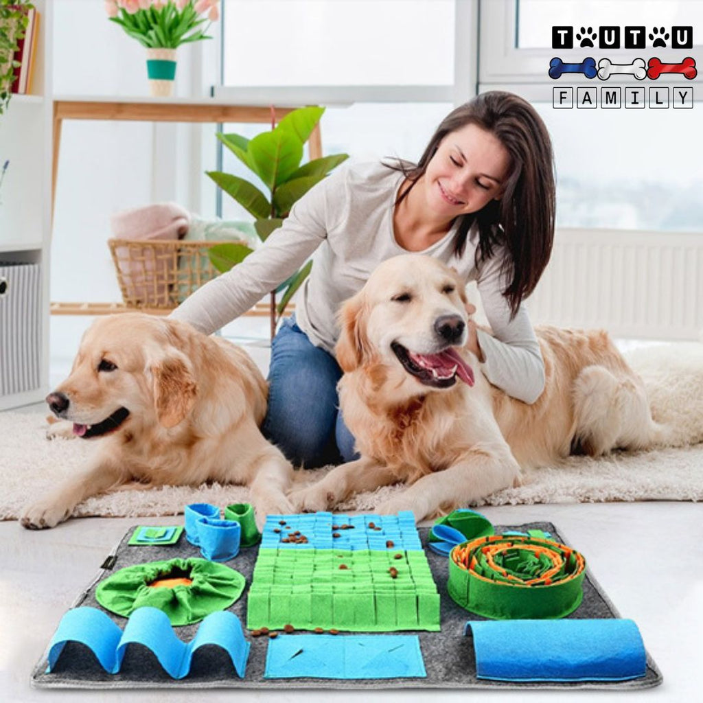 Tapis de fouille chien - ChasseToutou™