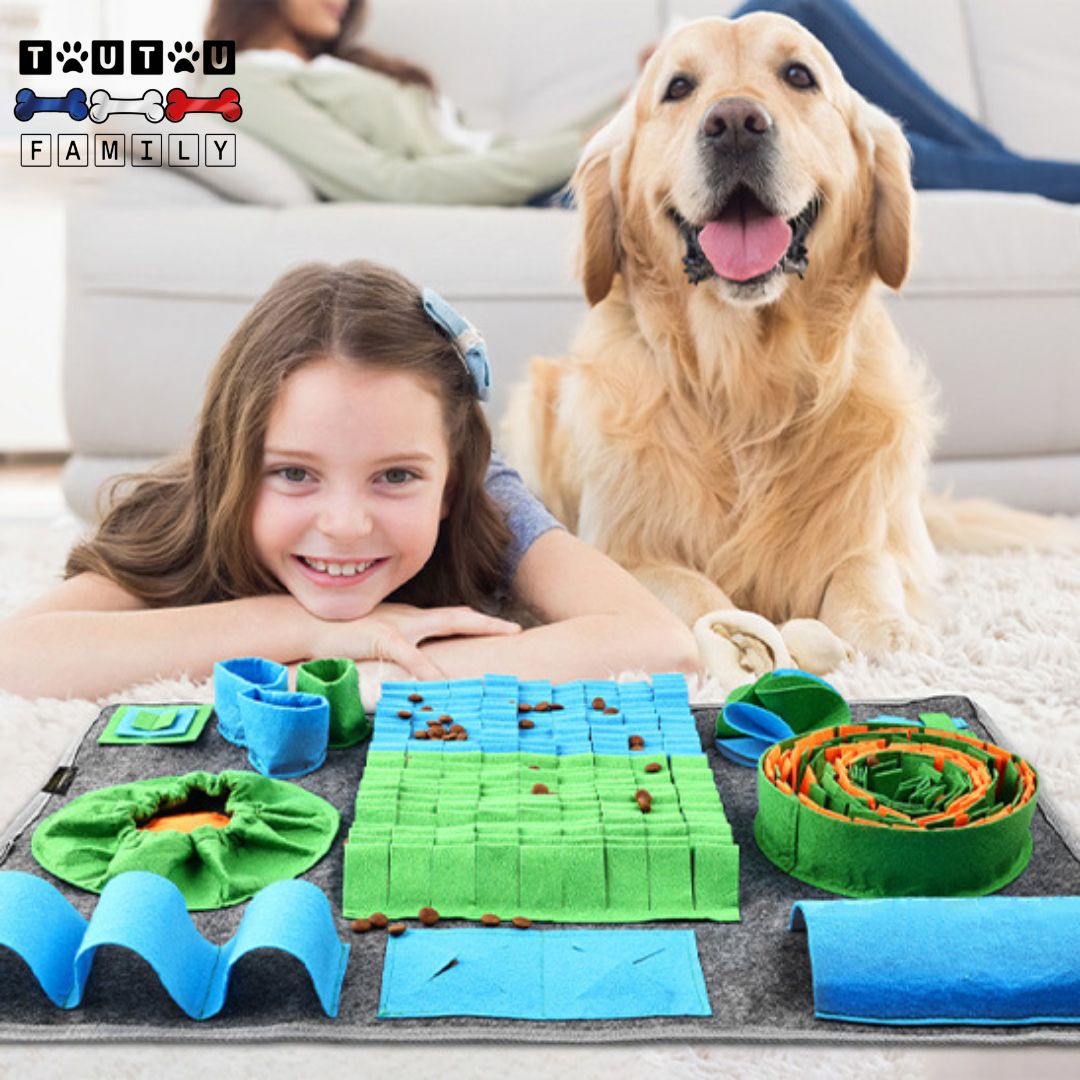 Tapis de fouille chien - ChasseToutou™