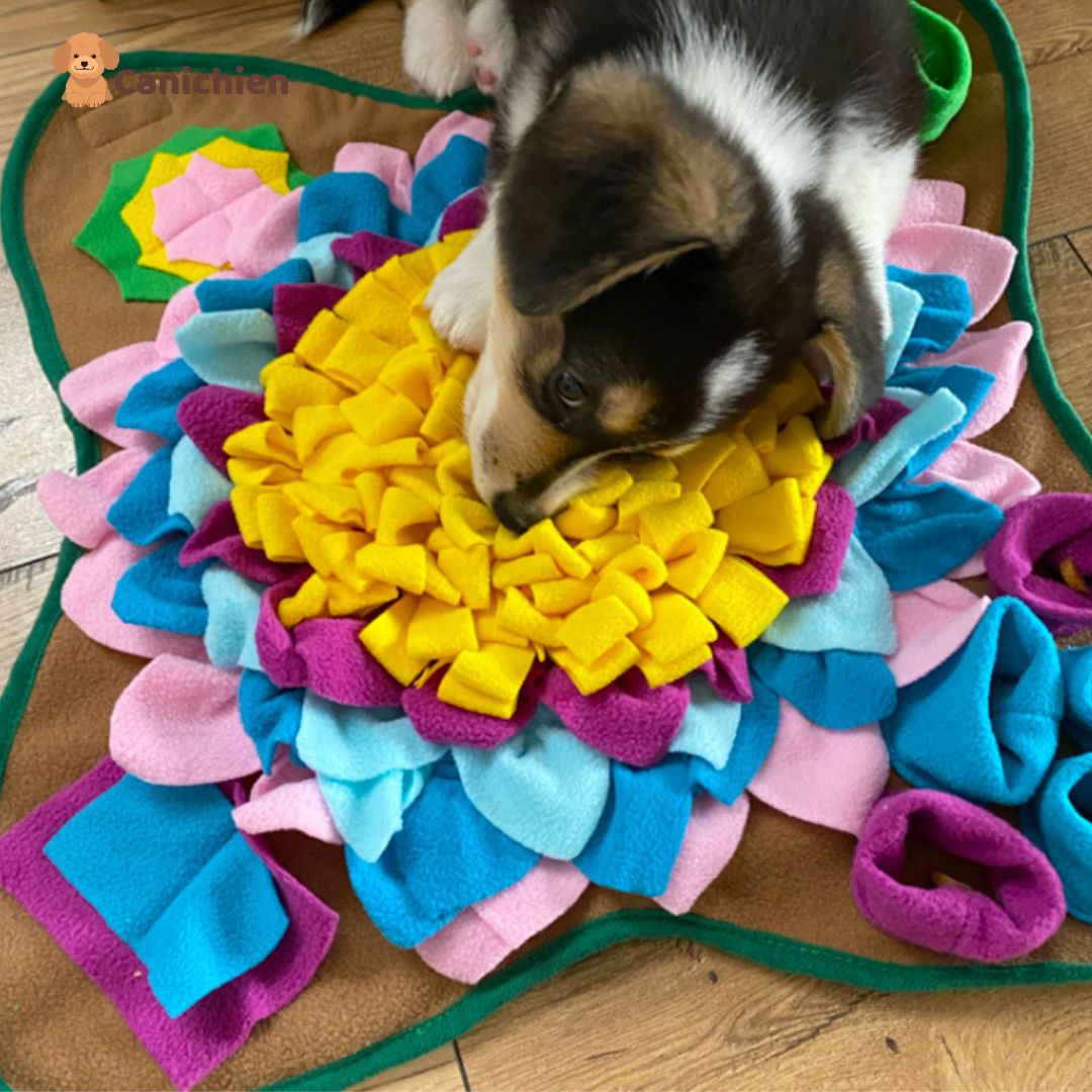 Tapis de fouille chien | SniffNest™