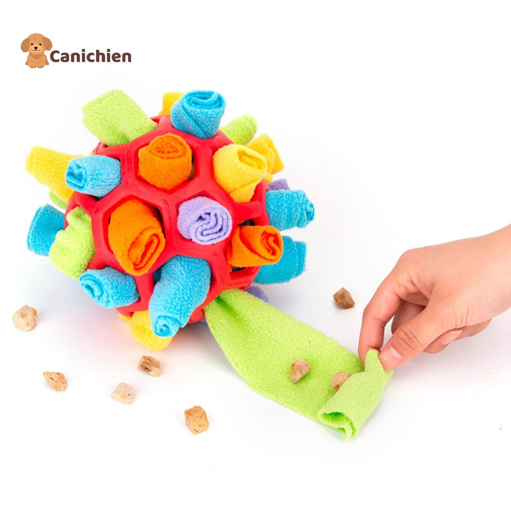 Tapis de fouille chien | BrainSniff™