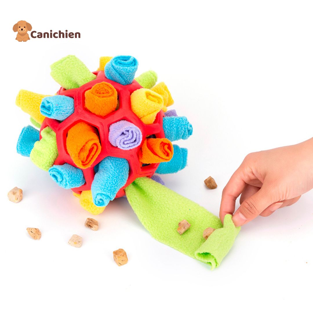 Tapis de fouille chien | BrainSniff™