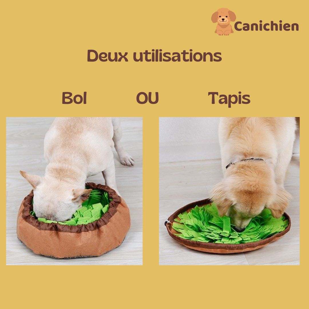 Tapis de fouille chien | SniffBliss™