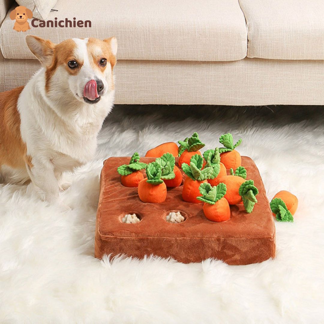 TAPIS DE FOUILLE CHIEN | SniffyMat™