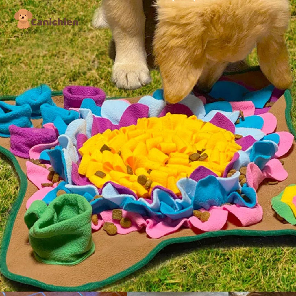 Tapis de fouille chien | SniffNest™