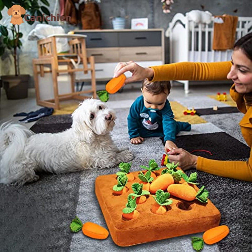 TAPIS DE FOUILLE CHIEN | SniffyMat™