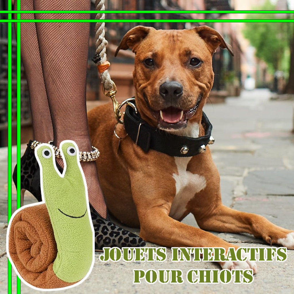 Tapis de fouille chien | EscarFetch™