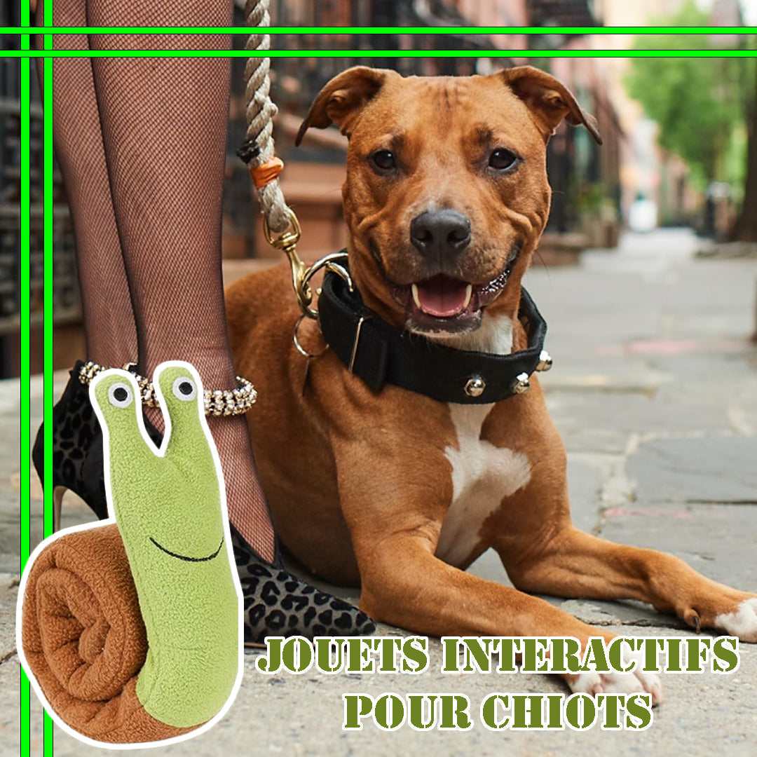 Tapis de fouille chien | EscarFetch™