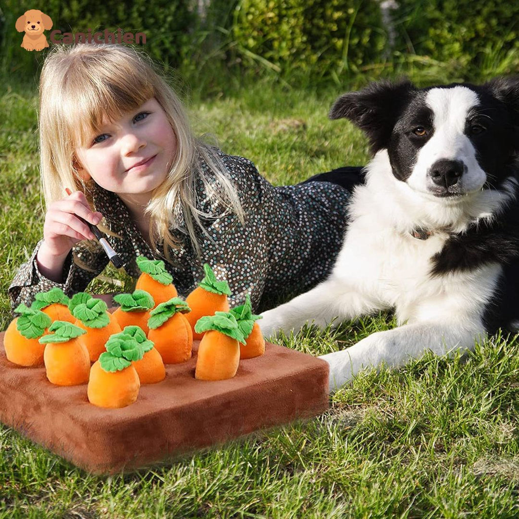 TAPIS DE FOUILLE CHIEN | SniffyMat™