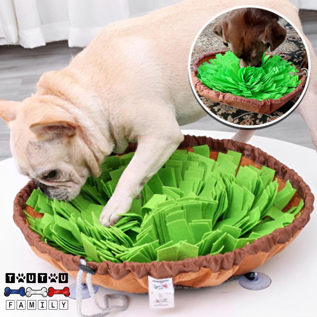 Tapis de fouille chien - HerbeToutou™