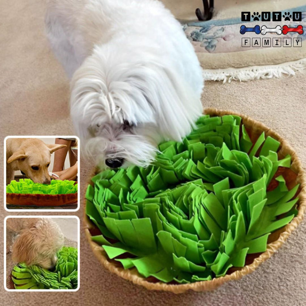 Tapis de fouille chien - HerbeToutou™