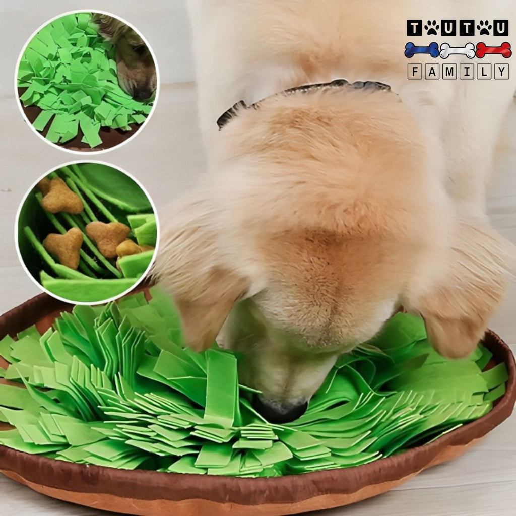 Tapis de fouille chien - HerbeToutou™