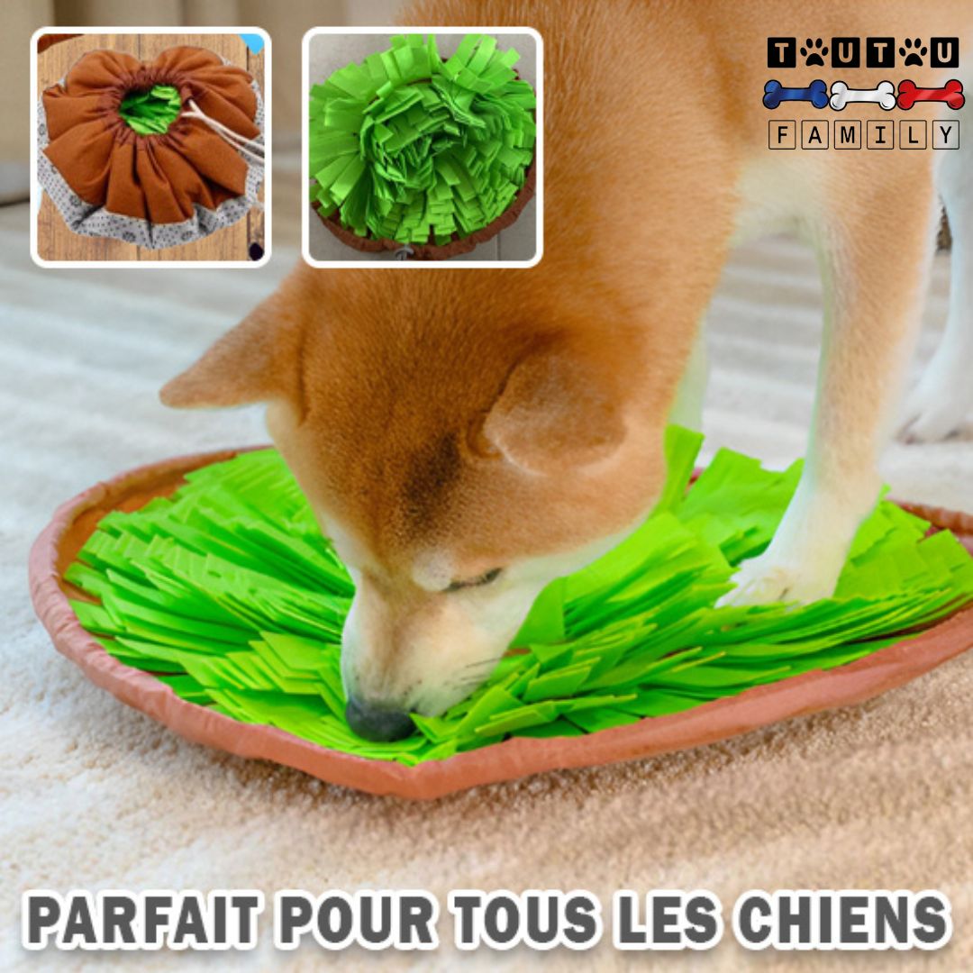 Tapis de fouille chien - HerbeToutou™