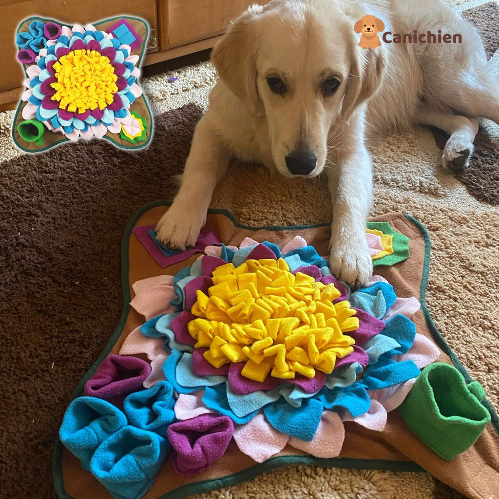 Tapis de fouille chien | SniffNest™