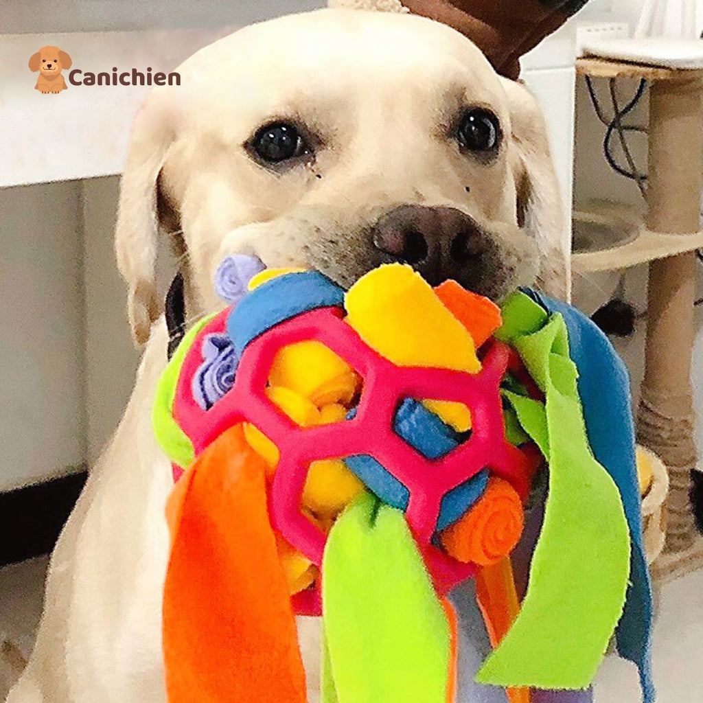 Tapis de fouille chien | BrainSniff™