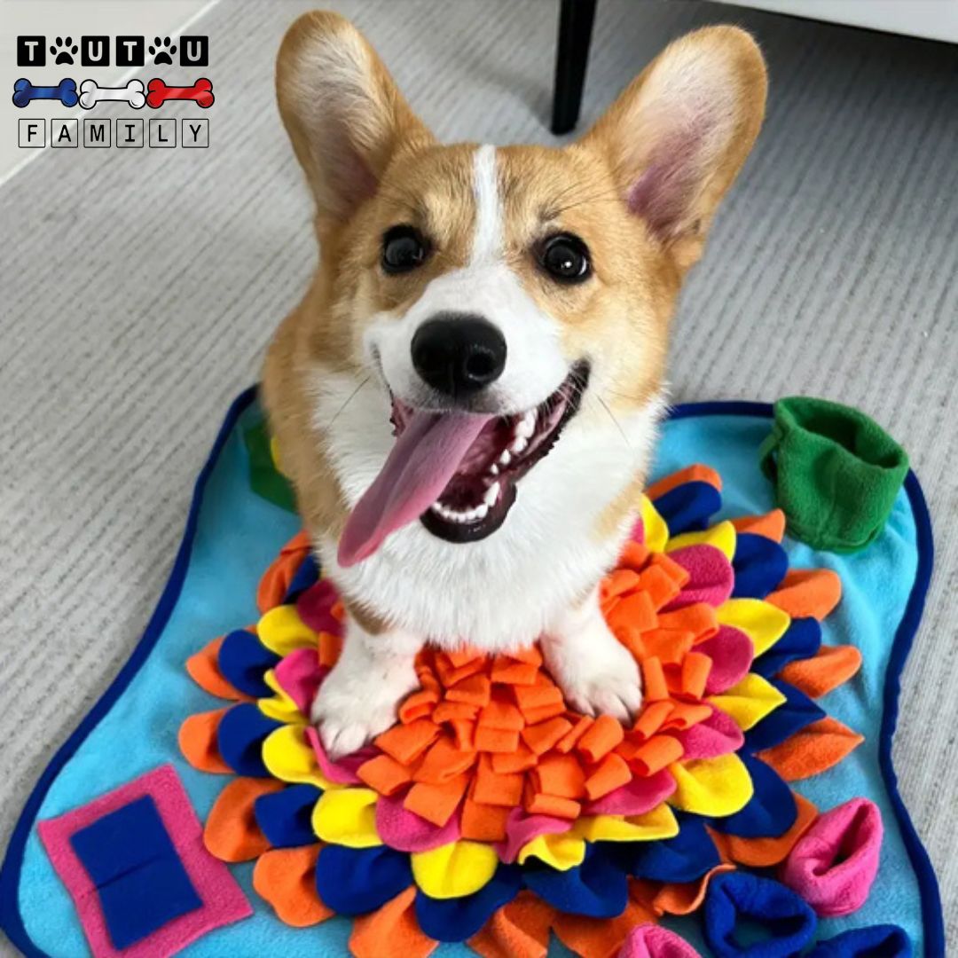 Tapis de fouille chien - NezToutou™