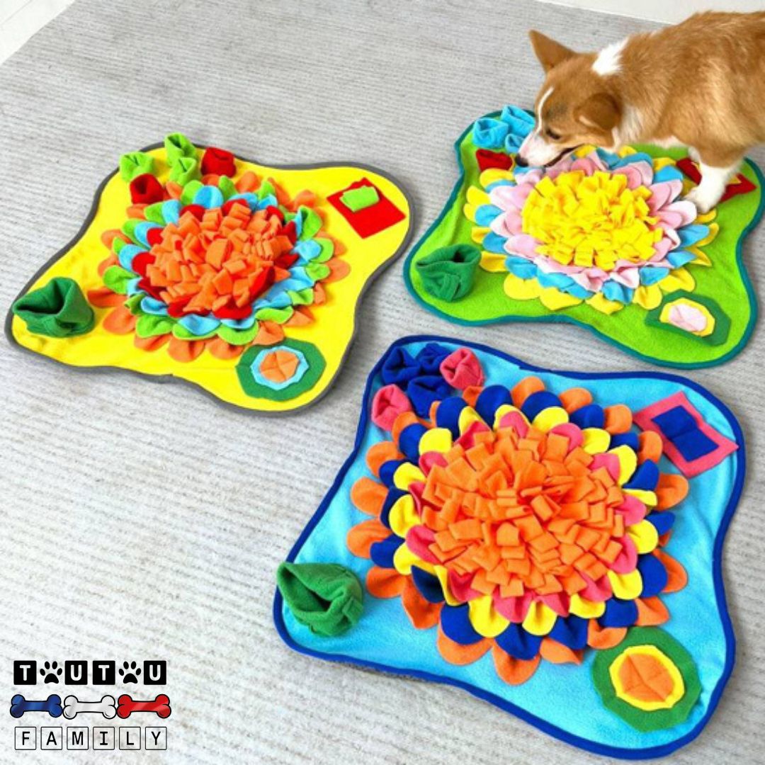 Tapis de fouille chien - NezToutou™