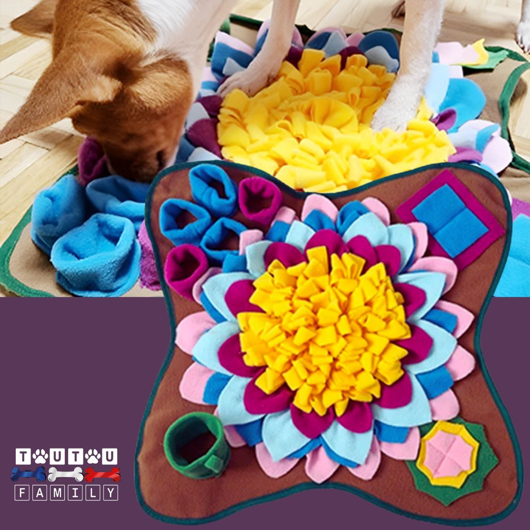 Tapis de fouille chien - NezToutou™