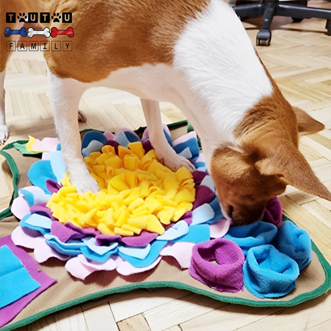 Tapis de fouille chien - NezToutou™
