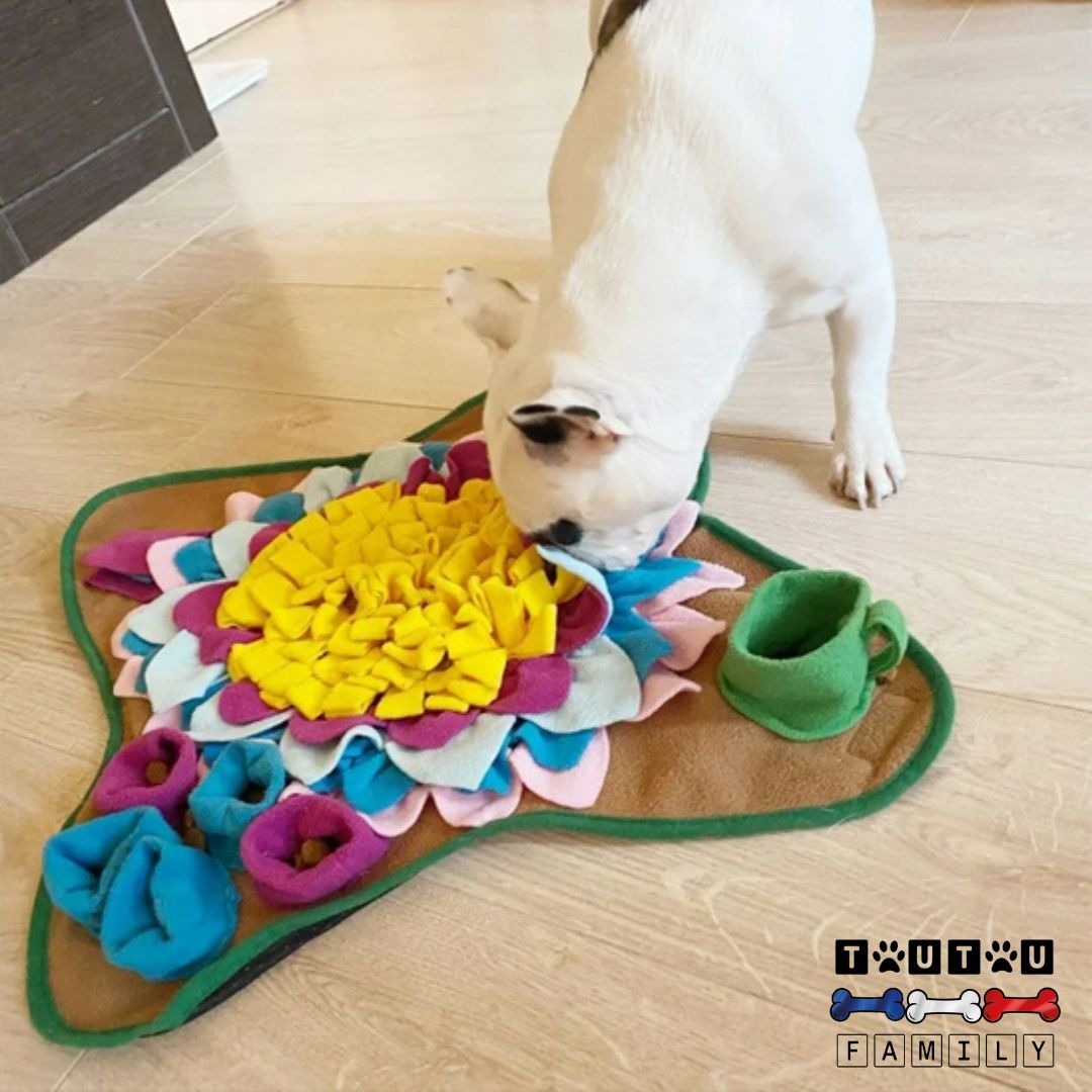 Tapis de fouille chien - NezToutou™