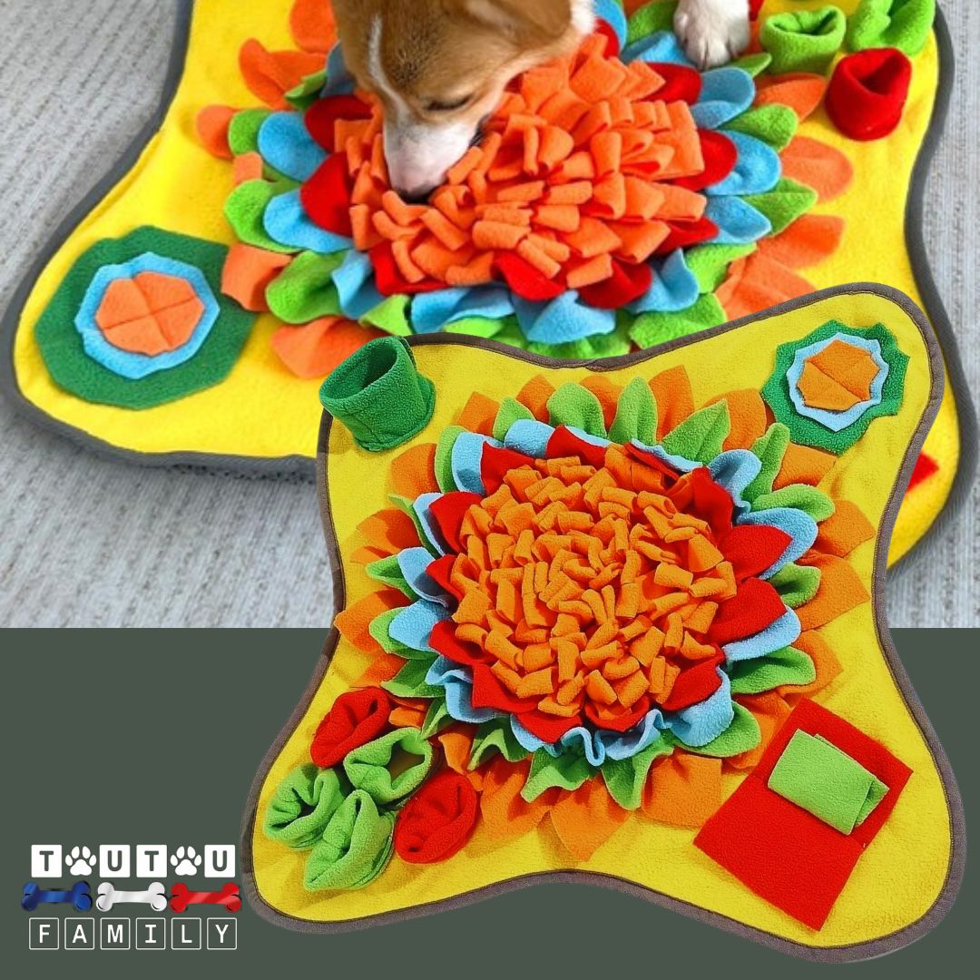 Tapis de fouille chien - NezToutou™