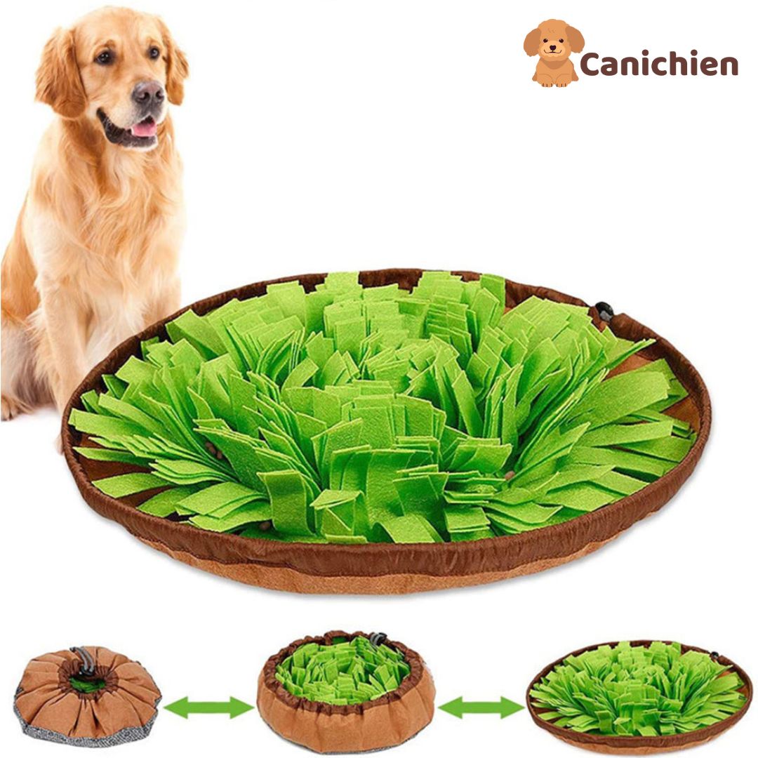 Tapis de fouille chien | SniffBliss™