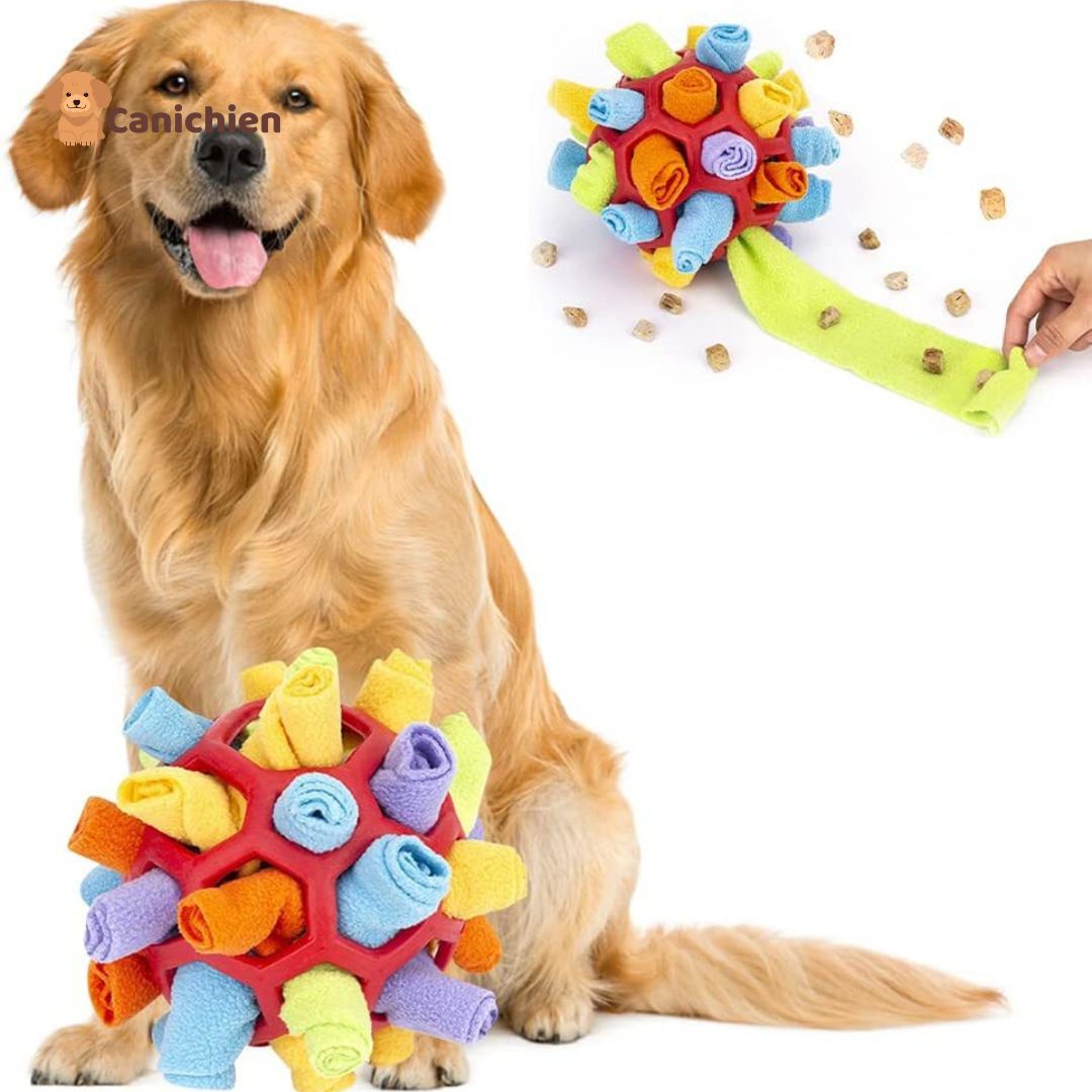 Tapis de fouille chien | BrainSniff™