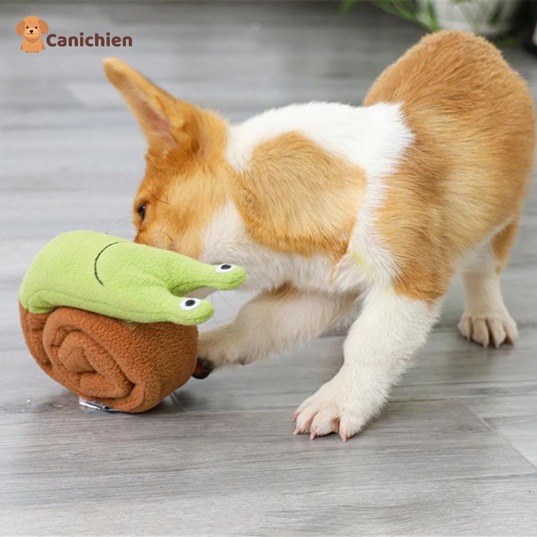 Tapis de fouille chien | EscarFetch™