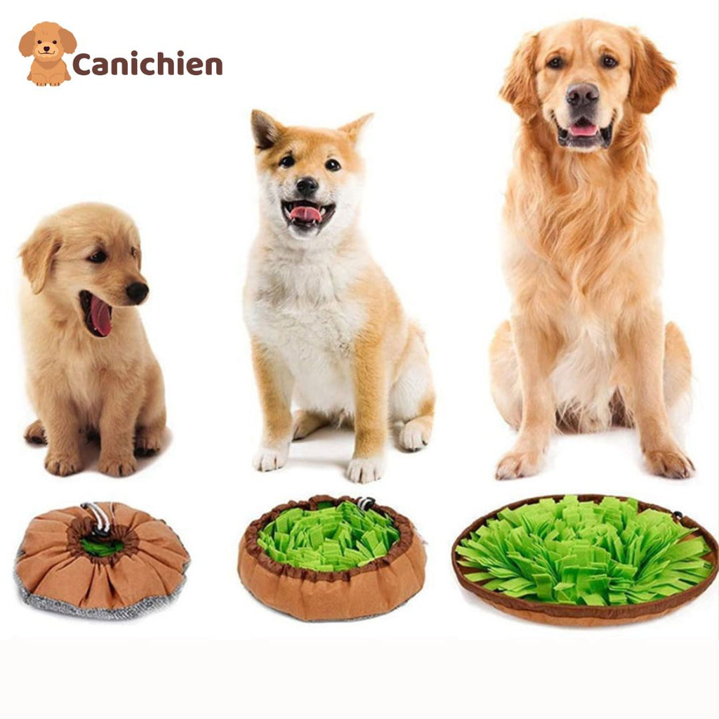 Tapis de fouille chien | SniffBliss™