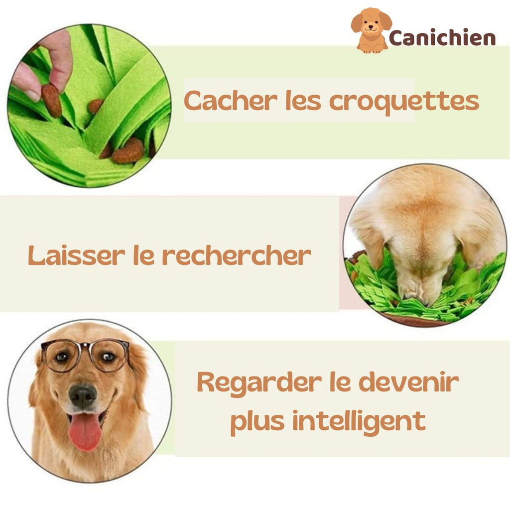 Tapis de fouille chien | SniffBliss™
