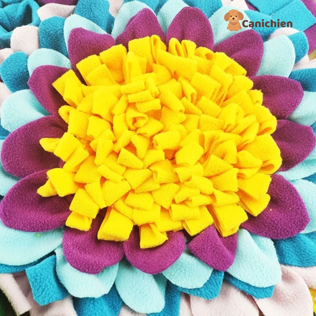 Tapis de fouille chien | SniffNest™