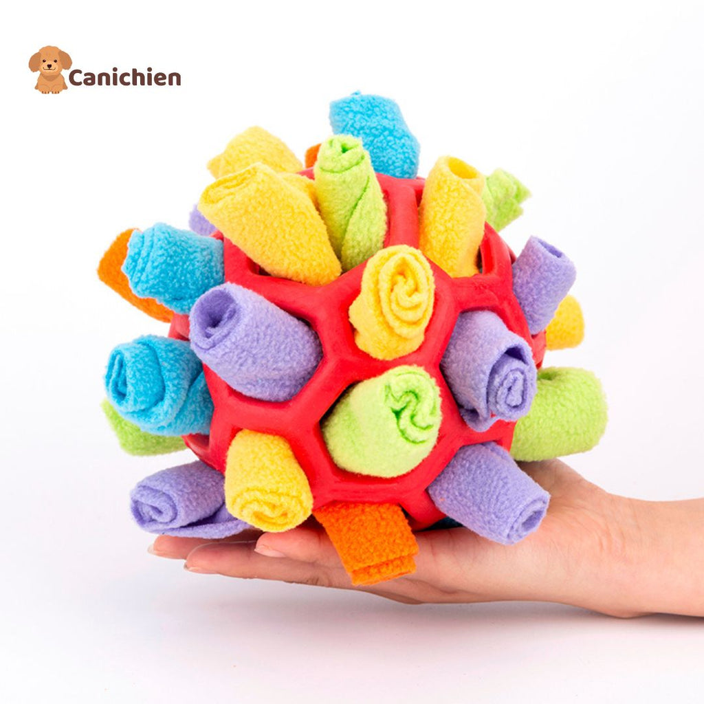 Tapis de fouille chien | BrainSniff™