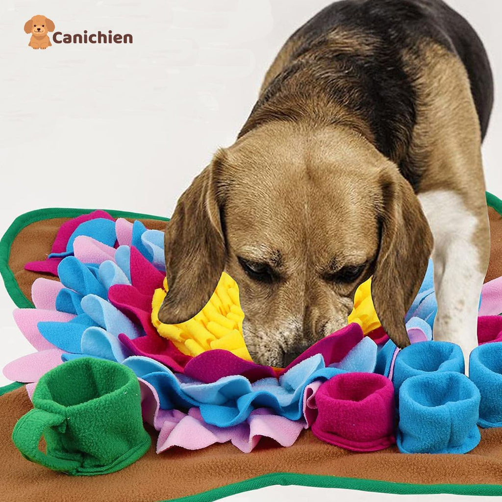 Tapis de fouille chien | SniffNest™