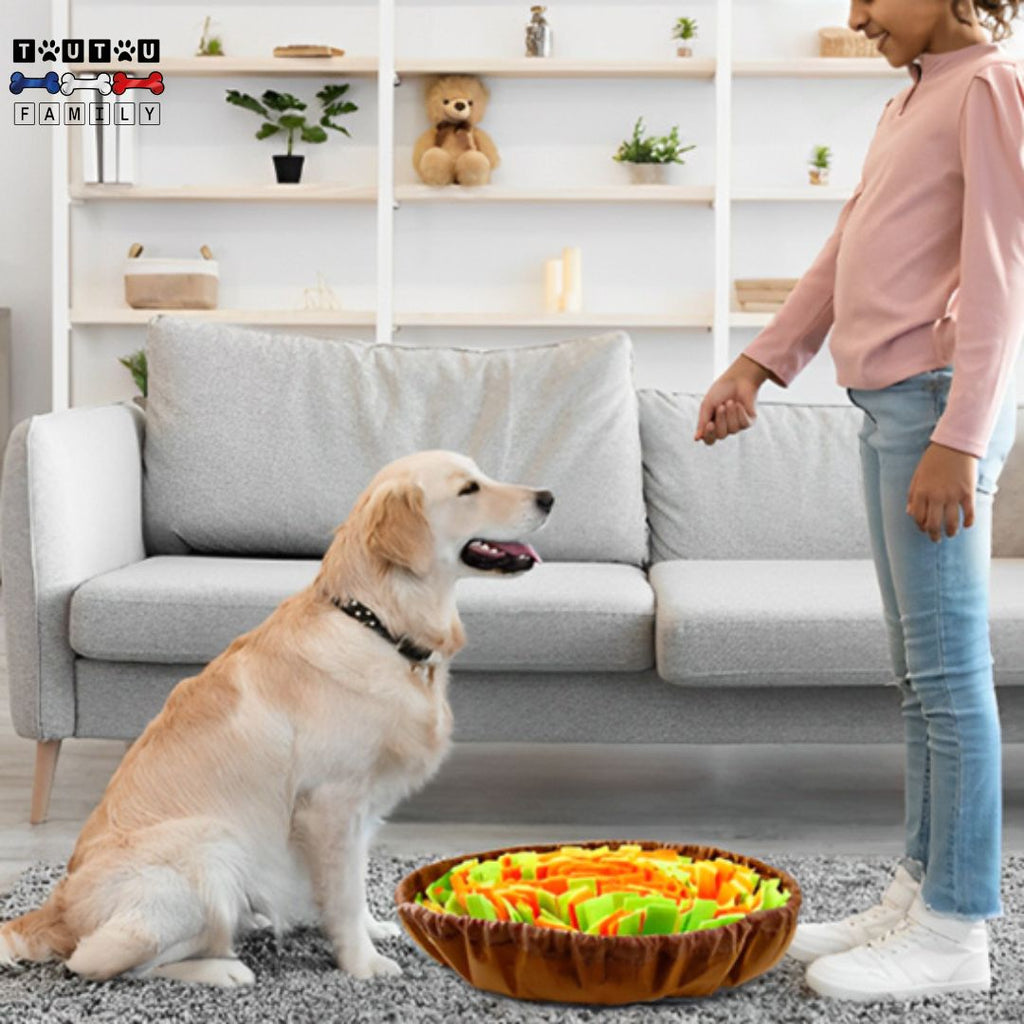 Tapis de fouille - FouineToutou™