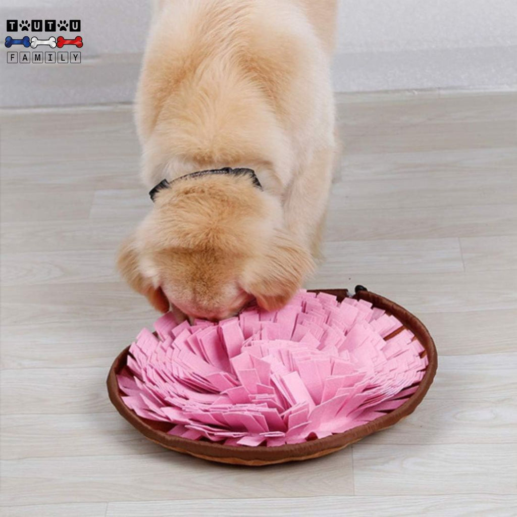 tapis-de-fouille-lavable-en-machien-niveau-1-et-niveau-2-jeu-d-intelligence-distributeur-de-croquette-un-chien-qui-cherche-et-set-pour-trouver-ses-croquettes-dans-son-tapis-de-fouille-rose