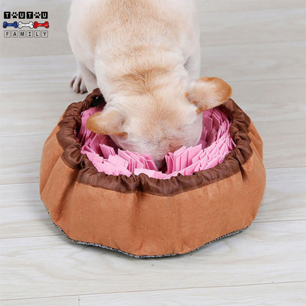 Tapis de fouille - FouineToutou™