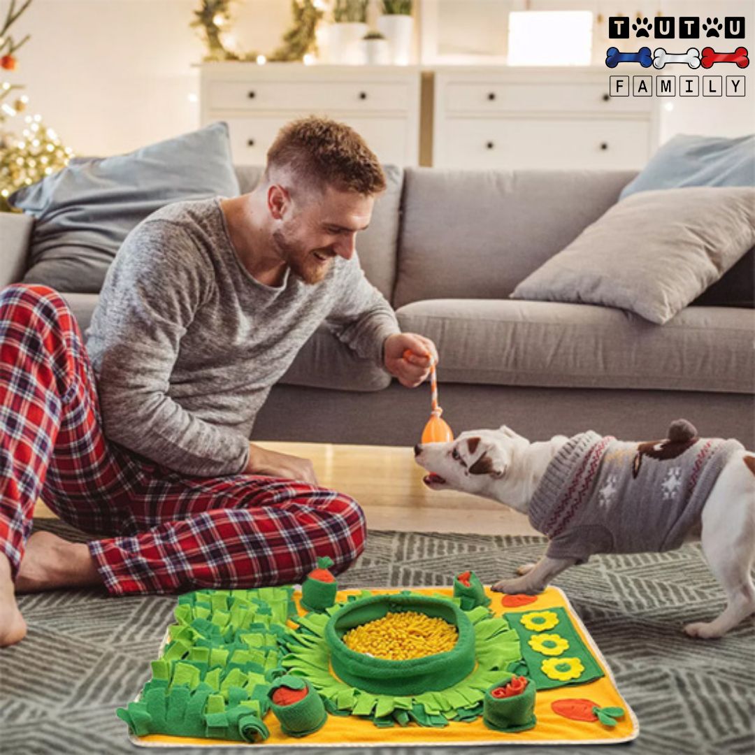 Tapis de fouille pour chien - OccupationToutou™
