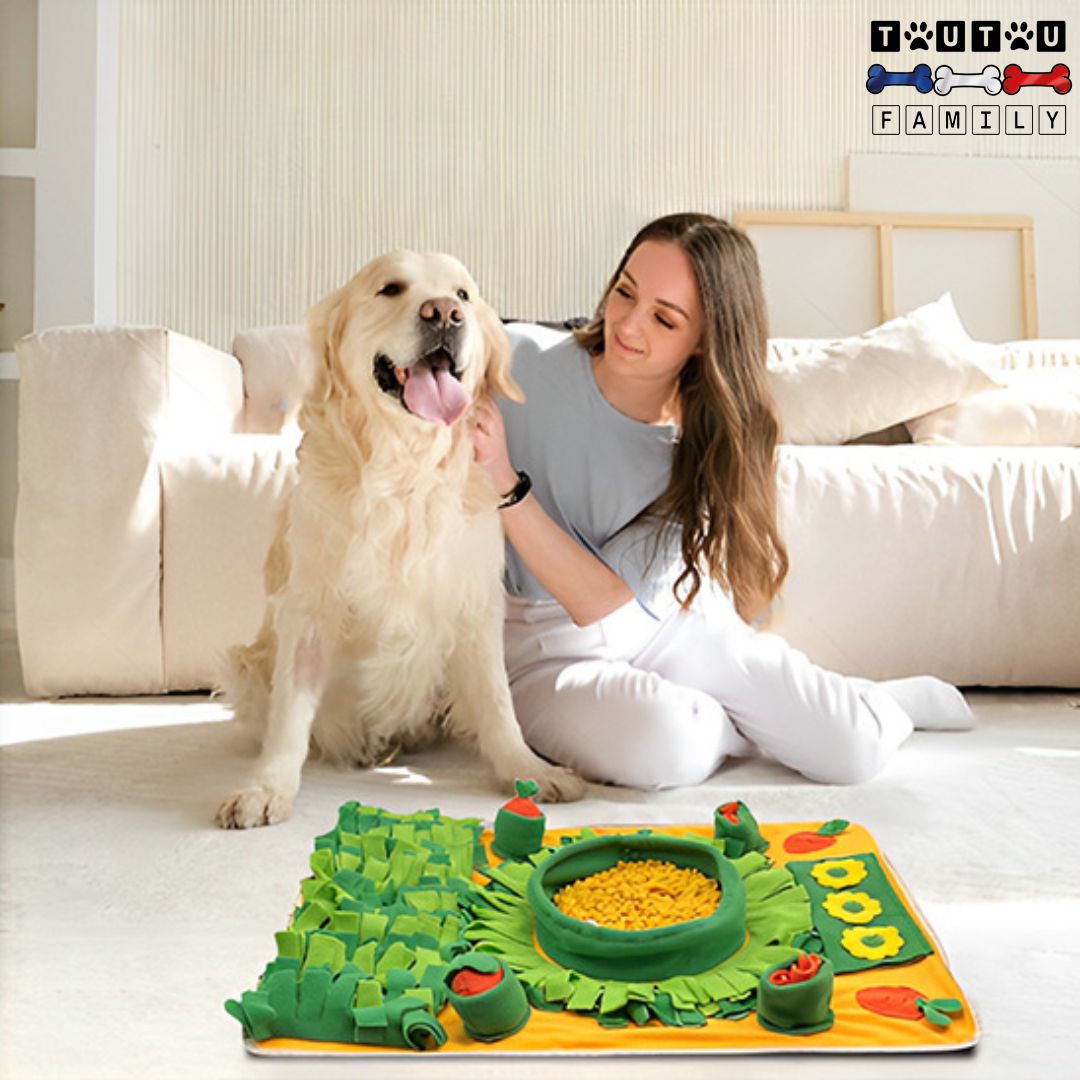 Tapis de fouille pour chien - OccupationToutou™