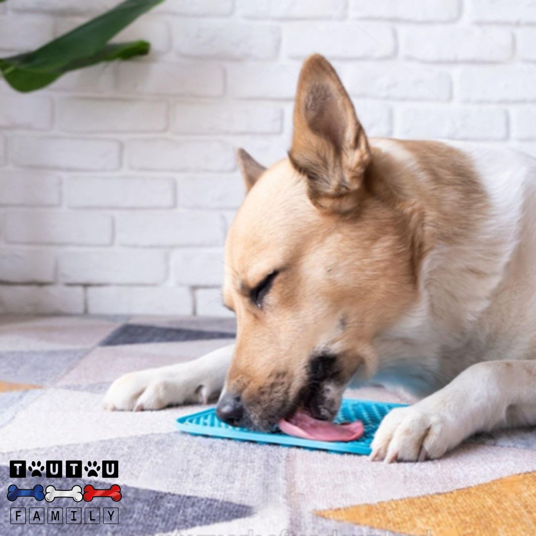 Tapis de lechage chien (lot de 2 ) - DégusteToutou™