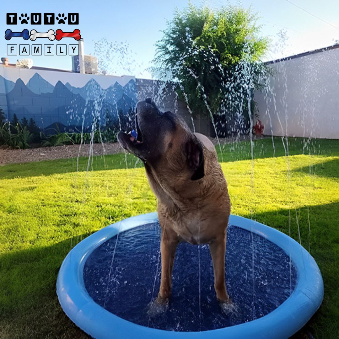 Tapis d'eau pour chien- EclabousseToutou™