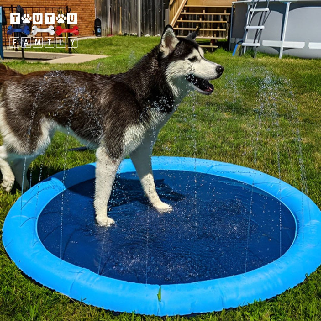 Tapis d'eau pour chien- EclabousseToutou™