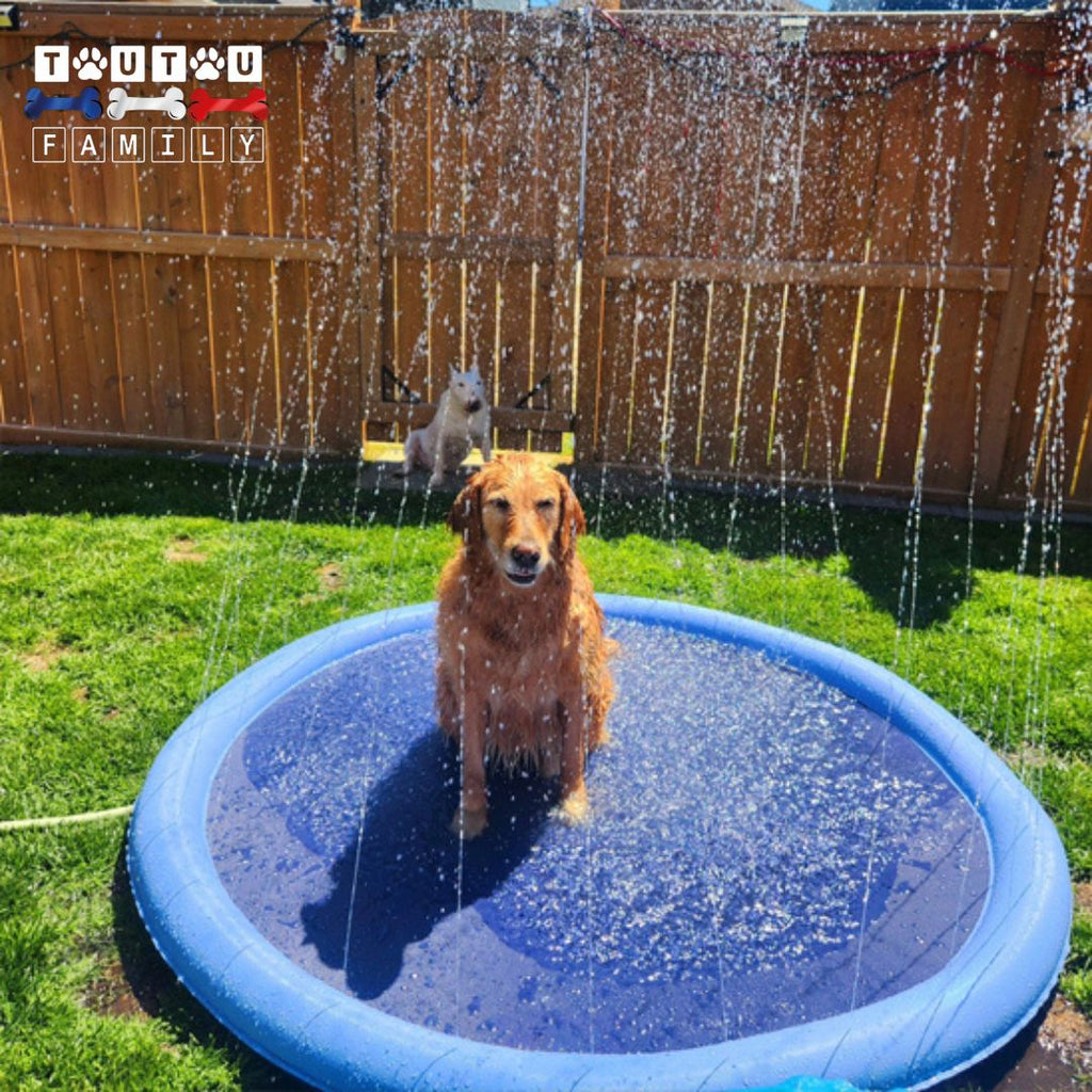 Tapis d'eau pour chien- EclabousseToutou™