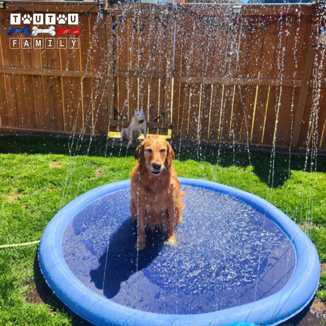 Tapis d'eau pour chien- EclabousseToutou™