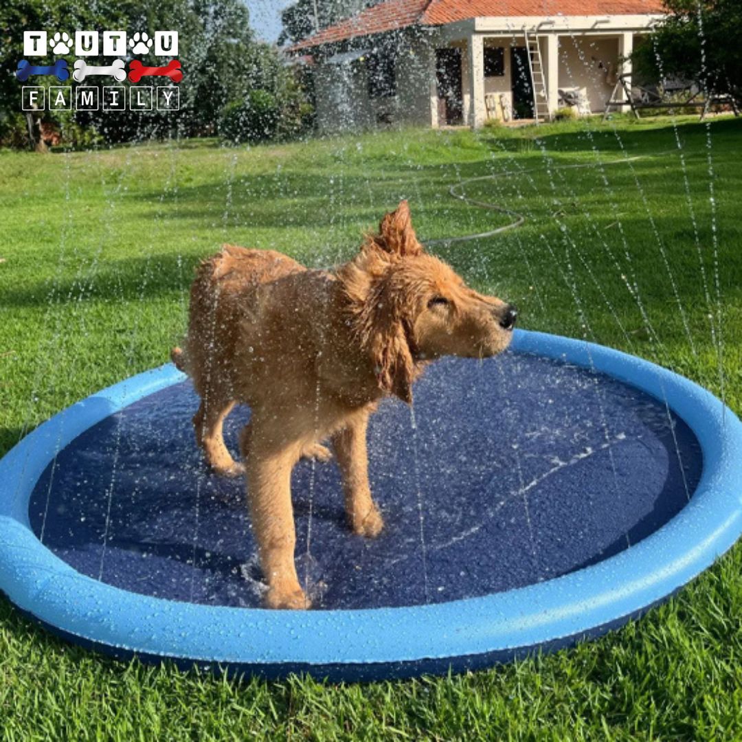 Tapis d'eau pour chien- EclabousseToutou™