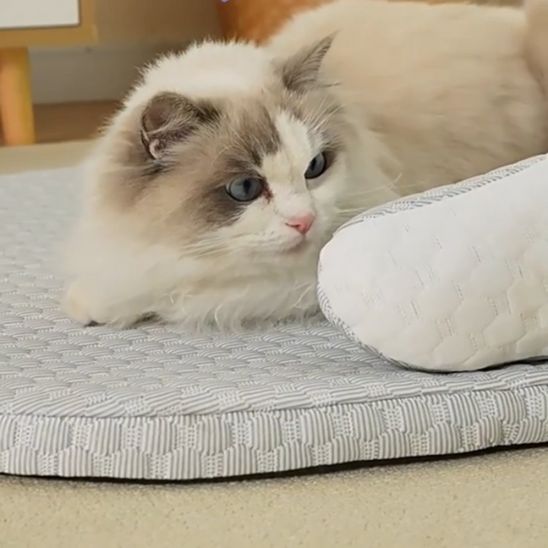 Tapis Fraicheur Chat | Mousse de Fraîcheur Féline