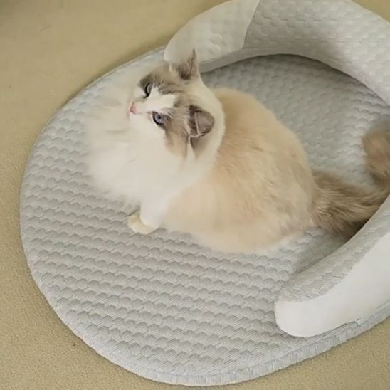 Tapis Fraicheur Chat | Mousse de Fraîcheur Féline