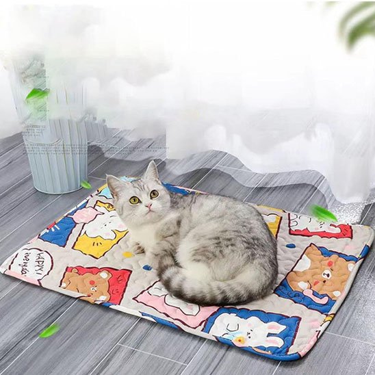 Tapis fraicheur chat  |  Éden Frais