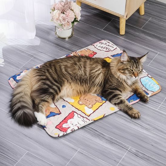 Tapis fraicheur chat | Éden Frais