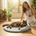 Tapis Fraicheur Chat | Mousse de Fraîcheur Féline