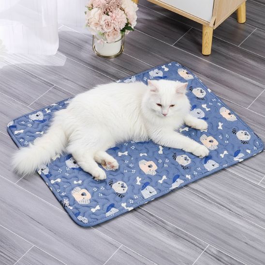 Tapis fraicheur chat | Éden Frais